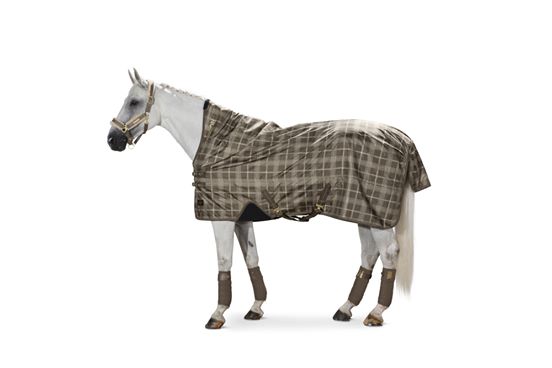 ESKADRON Turnoutrug BETA Oxford Checked, deeptaupe check(Heritage 19/20)